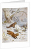 Wolverines in the Snow by August Specht