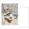 Wolverines in the Snow by August Specht