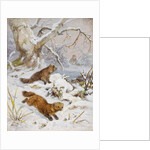 Wolverines in the Snow by August Specht