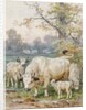 Park Cattle by August Specht