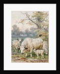 Park Cattle by August Specht