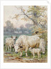 Park Cattle by August Specht