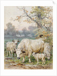 Park Cattle by August Specht