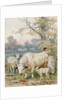 Park Cattle by August Specht