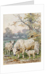 Park Cattle by August Specht