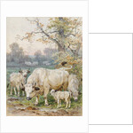 Park Cattle by August Specht