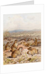 Marmots at their Burrows by August Specht
