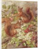 Red Squirrels Gathering Fruits and Nuts by Rosa Jameson
