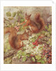 Red Squirrels Gathering Fruits and Nuts by Rosa Jameson