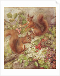 Red Squirrels Gathering Fruits and Nuts by Rosa Jameson