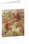 Red Squirrels Gathering Fruits and Nuts by Rosa Jameson