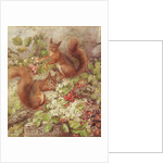 Red Squirrels Gathering Fruits and Nuts by Rosa Jameson