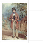 The Naturalist by Frederick Joseph Butler Lines