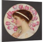 Tulip Festival, c.1920 by George Lawrence Bulleid