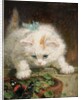 Temptation by Henriette Ronner-Knip