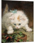 Temptation by Henriette Ronner-Knip