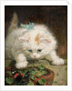 Temptation by Henriette Ronner-Knip