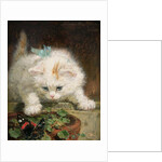 Temptation by Henriette Ronner-Knip