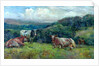 Cattle by Arthur Reginald Smith