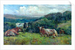Cattle by Arthur Reginald Smith