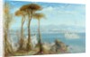 The Bay of Naples, 1876 by James Webb