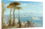 The Bay of Naples, 1876 by James Webb