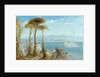 The Bay of Naples, 1876 by James Webb