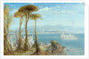 The Bay of Naples, 1876 by James Webb