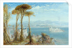 The Bay of Naples, 1876 by James Webb