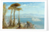 The Bay of Naples, 1876 by James Webb