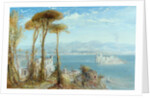 The Bay of Naples, 1876 by James Webb