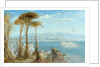 The Bay of Naples, 1876 by James Webb