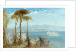 The Bay of Naples, 1876 by James Webb