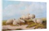 Sheep by Thomas Sidney (style of) Cooper