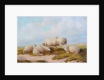 Sheep by Thomas Sidney (style of) Cooper