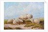 Sheep by Thomas Sidney (style of) Cooper