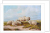 Sheep by Thomas Sidney (style of) Cooper