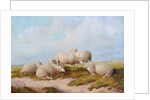 Sheep by Thomas Sidney (style of) Cooper