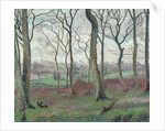 The Dunmow Road from Tilty Wood, 1915 by Lucien Pissarro