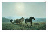 Horses in a Field, 1873 by Jules Leon Montigny
