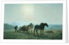 Horses in a Field, 1873 by Jules Leon Montigny