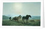 Horses in a Field, 1873 by Jules Leon Montigny