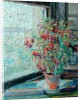 Fuchsias by Louise Pickard