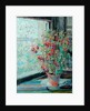 Fuchsias by Louise Pickard