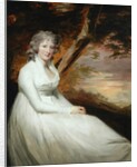 Mrs Anne Stewart of St Fort by Henry Raeburn