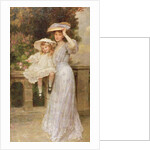 Butterflies by Frederick Stead