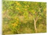 The Lemon Tree, 1893 by Henry Scott Tuke