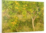 The Lemon Tree, 1893 by Henry Scott Tuke
