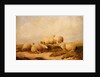 Sheep by Thomas Sidney Cooper
