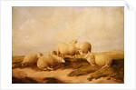 Sheep by Thomas Sidney Cooper